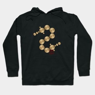 Crop circle 110 Hoodie